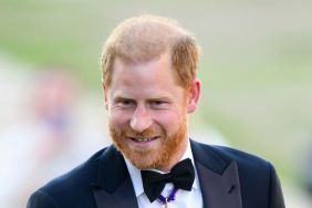 Charles Spencer Says Prince Harry Had One Concern About His Diana Memoir — Report
