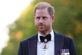 Prince Harry Sees a ‘Meaningful Place’ for Himself in Royal Fold — Source