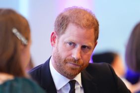 Prince Harry’s Alleged Diana Documentary Move Gets Royal Fans’ Brutal Verdict — Poll