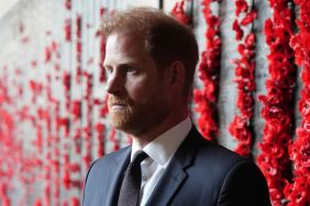 Prince Harry Won’t ‘Pull Focus’ From Royal Family on Major Day — Source