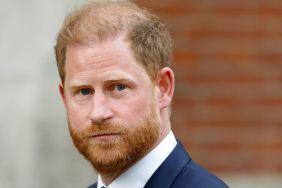 Prince Harry Brutally Torched Over 'Lowbrow' Diana Documentary Move — Report