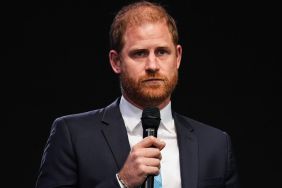 Prince Harry Suffers Brutal Financial Blow After Travel Project Suffers $17K Loss — Report