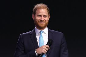 Prince Harry Finds His Loudest Champion in Controversial UK Star — Source