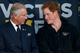 King Charles & Prince Harry May Finally Agree on One Important Issue