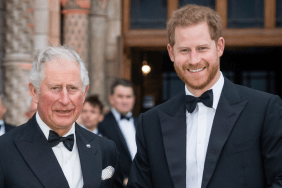 Prince Harry’s Invictus Setback Raises Troubling Questions About Palace Letter — Source