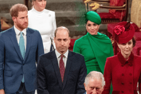 King Charles & Prince William Split on How To Handle Prince Harry & Meghan Markle — Insider