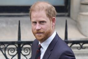 Prince Harry Labeled ‘Dangerous’ to Royal Family Over One Mindset — Expert