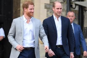 Prince Harry Went From Prince William’s ‘Wingman To Hitman’ — Author