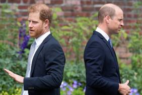 Prince Harry’s War With Prince William Will Leave Him With ‘Severe Consequences’ — Author