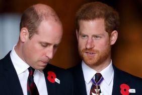 Prince Harry's New Peace Plan With Prince William Hits a Major Wall — Source