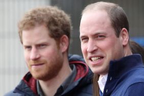 Prince Harry’s Wish to Reconcile With William Comes With a Grim Reality — Expert