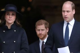 Prince William & Kate Middleton Draw a Firm Line Over Prince Harry's Diana Plans — Report