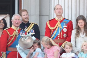 Prince Harry Prince William King Charles