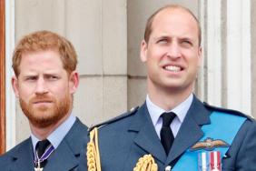 Prince William’s ‘Hand Is Being Forced’ by Prince Harry’s Surprise Return — Expert