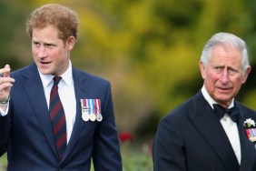Prince Harry Was ‘Treated Like a Spy’ During King Charles Reunion — Source