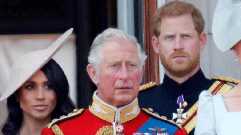 King Charles Was 'Sick' of Harry & Meghan Posing as 'Working Royals' — Source