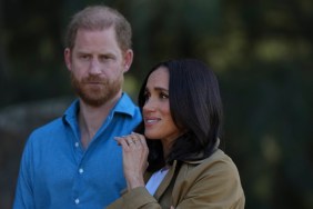 Prince Harry’s Bizarre Meghan Markle Claim Has Royal Fans Asking Questions — Report