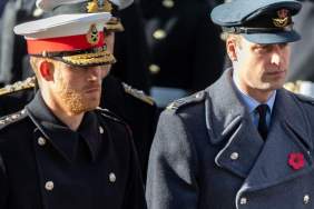 Prince Harry’s Rift With Prince William Has Turned Into a ‘Very, Very Cold War’ — Source