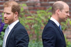 Prince William 'F****** Hates' Prince Harry & They're 'No Longer Brothers' — Expert
