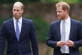 Prince William Brands Prince Harry ‘Rotten Apple’ as Feud Reaches Boiling Point — Source