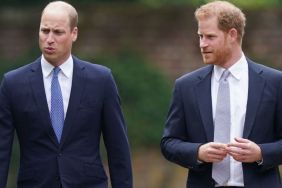 Prince William & Prince Harry's Feud Has a 'Bittersweet' Consequence — Source