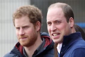 Prince Harry’s Rumored Princess Diana Film Could Deepen William Rift — Expert