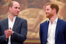 Prince William & Prince Harry's Past Shows How Much Has Changed — Report