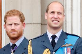 Prince William ‘Sickened’ by Prince Harry’s Role in Diana Memoir — Source