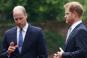 Prince William 'Would Rather Spend Christmas Alone' Than Be Around Prince Harry — Source
