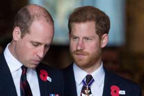 Prince William’s ‘Five-Year’ Plan Could Leave Prince Harry in the Cold — Expert
