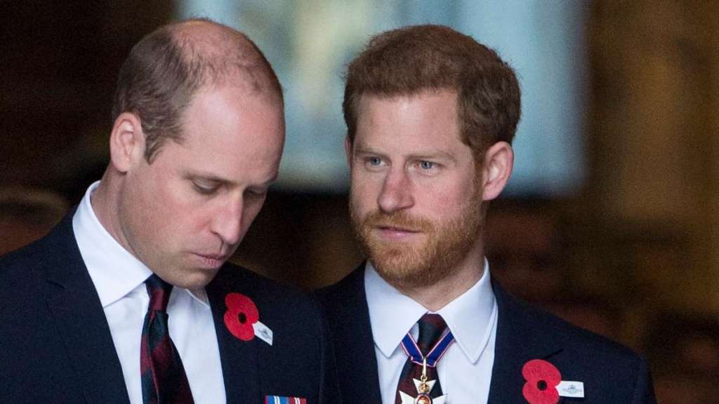 Prince William’s ‘Five-Year’ Plan Could Leave Prince Harry in the Cold — Expert