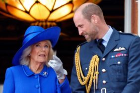 Prince William & Queen Camilla Stand United on One Prince Harry Issue — Source