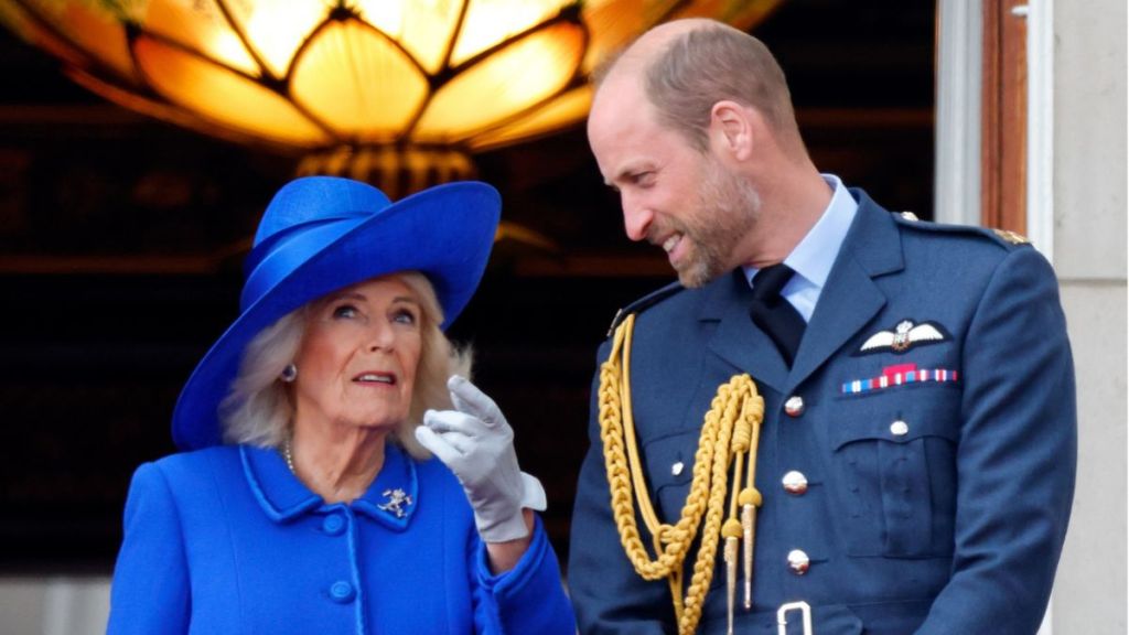 Prince William & Queen Camilla Stand United on One Prince Harry Issue — Source