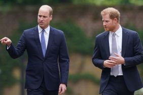 Prince William Cuts Prince Harry Loose After Fresh Royal Turmoil — Source