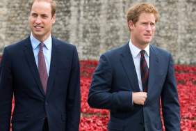 Prince William’s Reaction to Harry’s Diana Documentary Plans Revealed — Expert