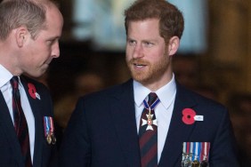 Prince Harry's Diana Documentary Is Prince William's Worst Nightmare for a Reason — Expert