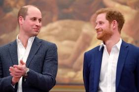 Prince Harry's Diana Documentary Hits a Prince William Roadblock — Source