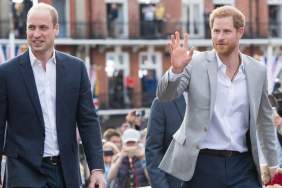 Charles Spencer Makes Curious Prince Harry Admission, but Leaves Out Prince William — Report