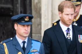Prince William Fuming Over Prince Harry Pretending To Be a ‘Working Royal’ — Source