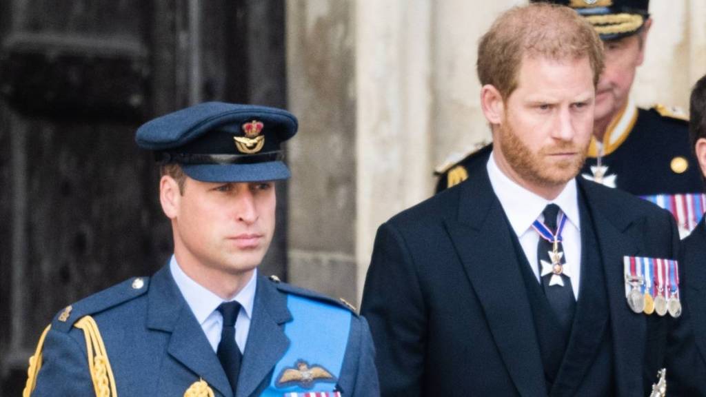 Prince William Fuming Over Prince Harry Pretending To Be a ‘Working Royal’ — Source
