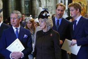 Queen Camilla Makes Surprising Move in King Charles & Prince Harry Rift — Source