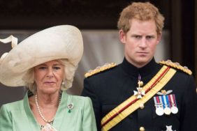 Prince Harry’s Diana Plans May Steal Queen Camilla’s Big Moment — Source