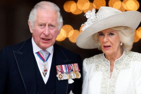 Queen Camilla Steps in as ‘Peacemaker’ in King Charles-Charles Spencer Feud — Source