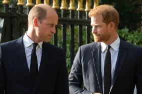 Prince Harry Faces ‘Weaponizing’ Diana Claim as Prince William Wins Praise — Report