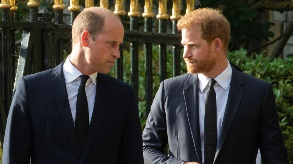 Prince Harry Faces ‘Weaponizing’ Diana Claim as Prince William Wins Praise — Report