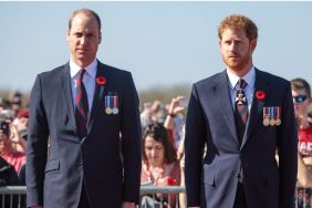 Prince William to Rival Prince Harry With His Own Princess Diana Tribute — Source