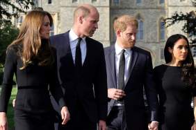 Prince William & Harry Could Be Brought Together by 2 Royal Women & It's Not Their Wives — Report