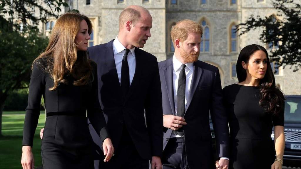 Prince William & Harry Could Be Brought Together by 2 Royal Women & It's Not Their Wives — Report