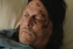 The Walking Dead Daryl Dixon
