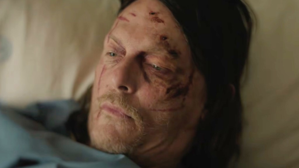 The Walking Dead Daryl Dixon